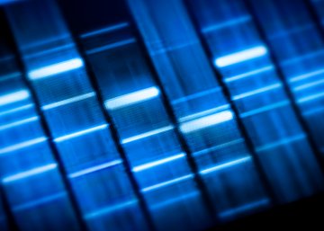 Spencer v Anderson: when paternity testing could be a matter of life and death