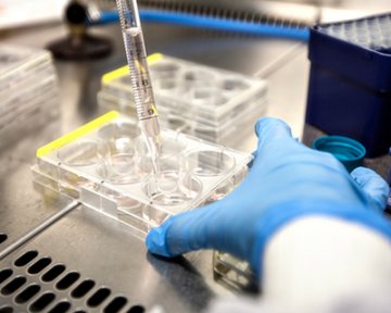 Interview with Professor Dr Geeta Nargund