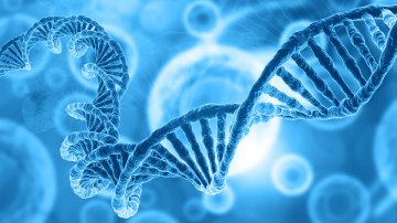 UK set to become first country to allow three-parent IVF