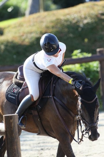 Success in Italy and Vardags Saratoga's 3-day début