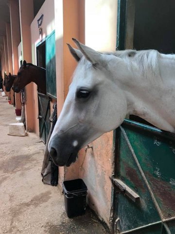 A win-win situation in Jordan