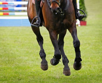 Love at first stride: an interview with Vardags Equestrian’s Ahmad Mansour