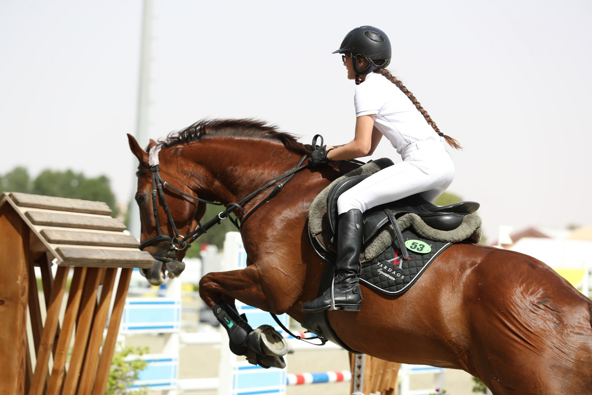 Excellent outcome for Vardags Equestrian in UAE National Showjumping League