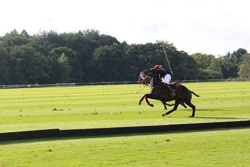 Archie David Cup Polo 1